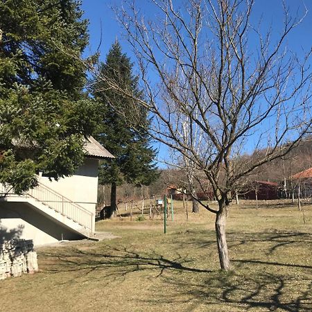 Apartman “Reka Gradac” Valjevo Exteriér fotografie