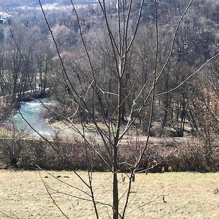 Apartman “Reka Gradac” Valjevo Exteriér fotografie