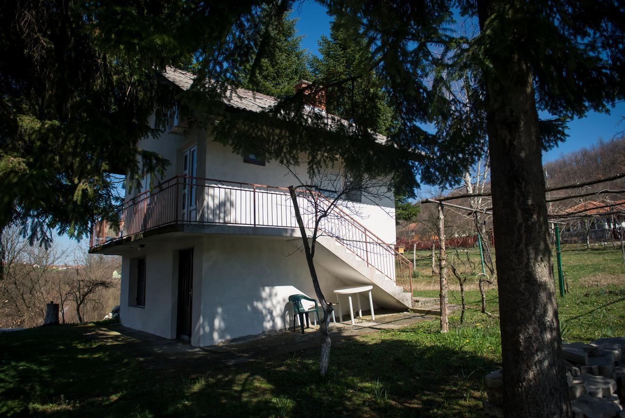 Apartman “Reka Gradac” Valjevo Exteriér fotografie