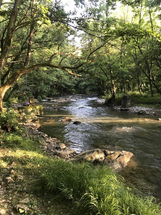 Apartmán Apartman “Reka Gradac” Valjevo Exteriér fotografie