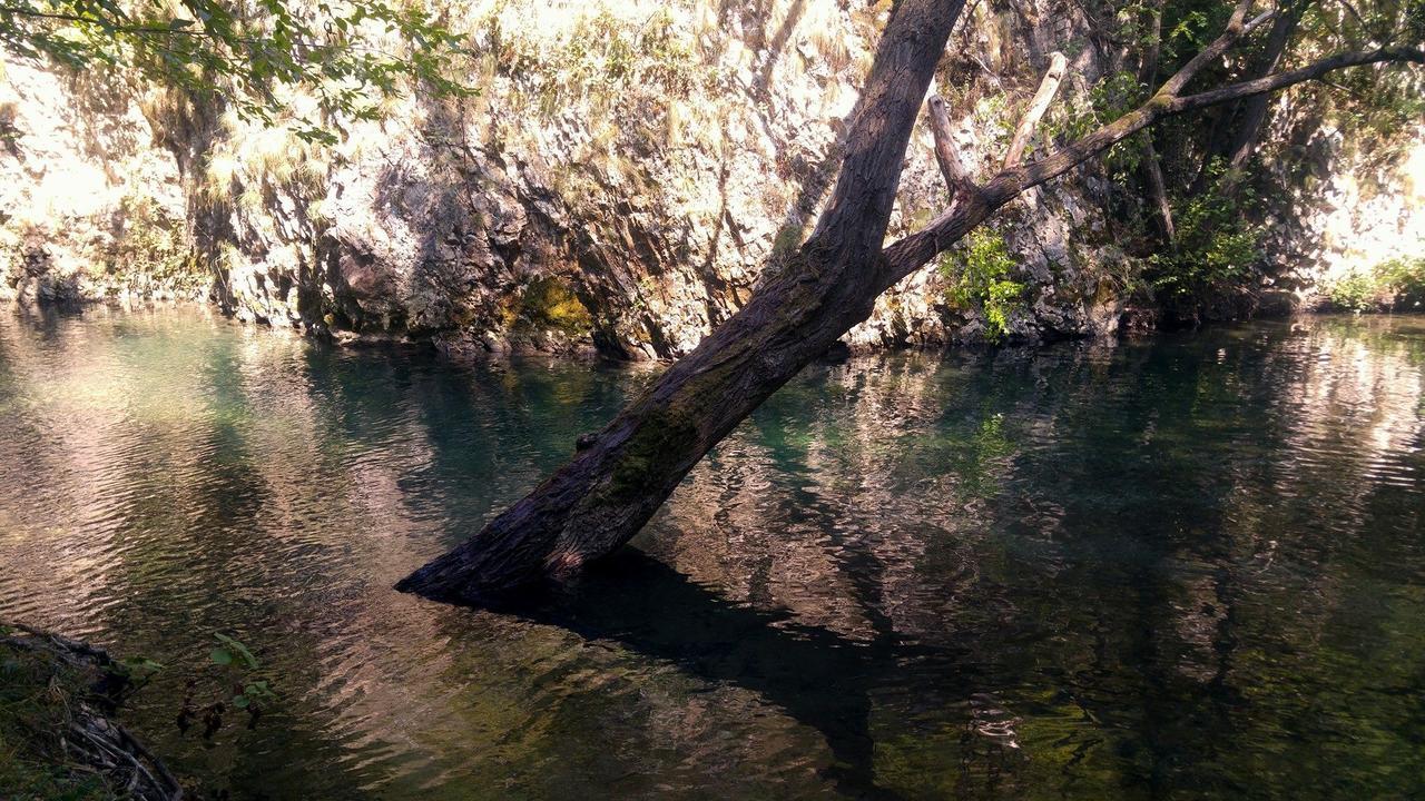 Apartman “Reka Gradac” Valjevo Exteriér fotografie