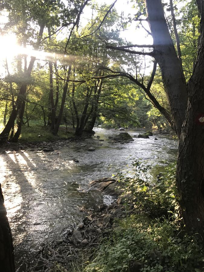 Apartman “Reka Gradac” Valjevo Exteriér fotografie