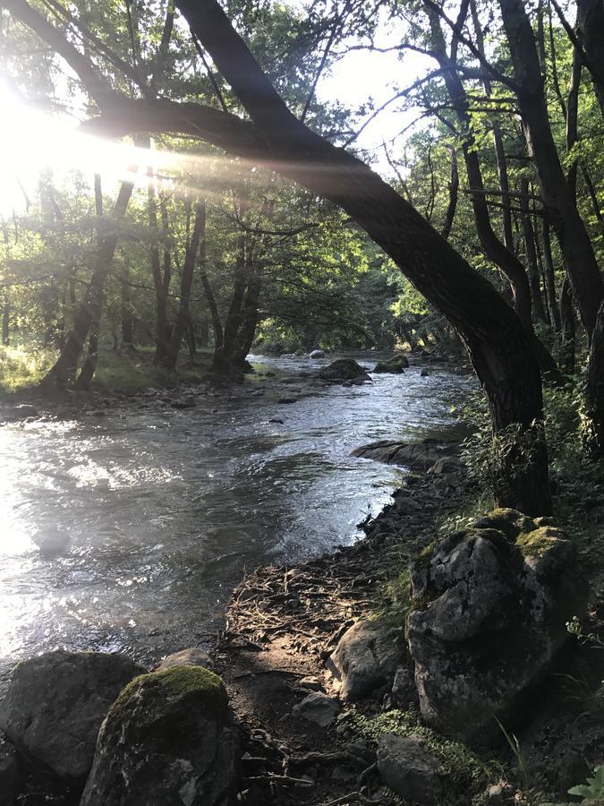 Apartmán Apartman “Reka Gradac” Valjevo Exteriér fotografie