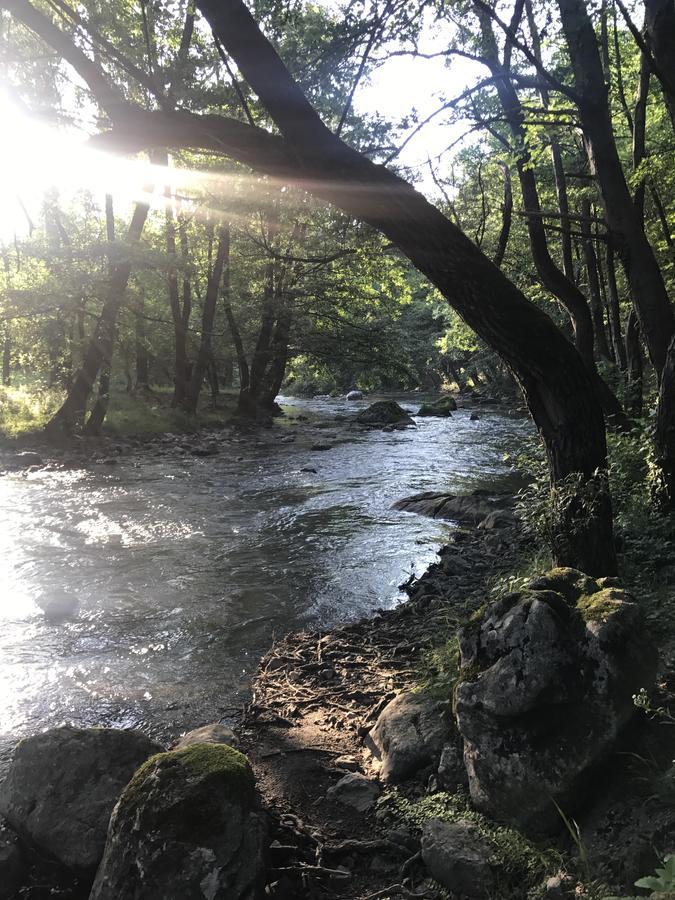 Apartman “Reka Gradac” Valjevo Exteriér fotografie
