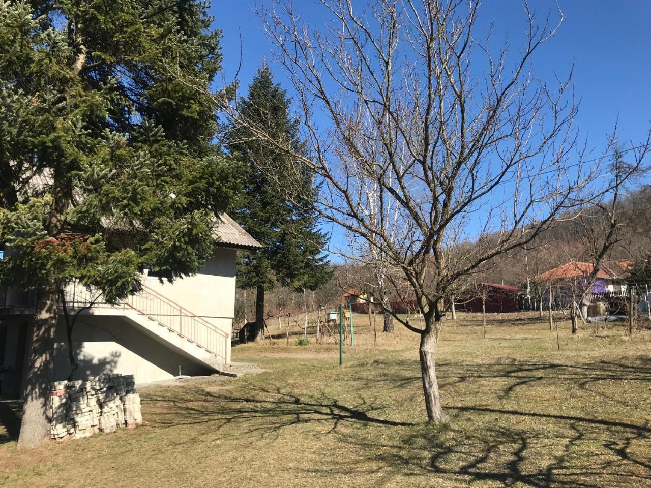 Apartman “Reka Gradac” Valjevo Exteriér fotografie